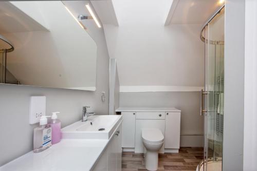 奥本Island View的白色的浴室设有卫生间和水槽。