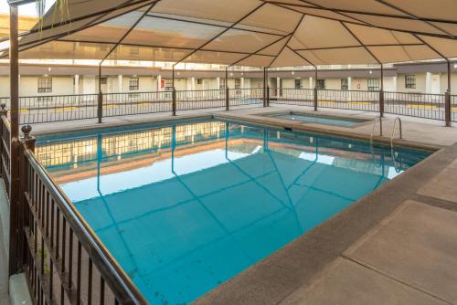 奇瓦瓦Hotel Sntenario的大楼里一个蓝色的大泳池