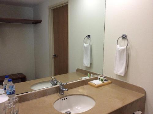 韦拉克鲁斯里沃利斯尔德酒店的一间带水槽和大镜子的浴室
