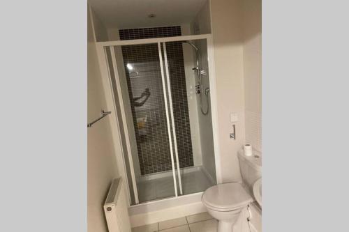 威布里治Luxurious & Cosy Apartment in Surrey的浴室设有卫生间和带玻璃门的淋浴。