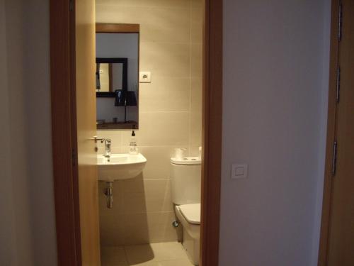 略夫雷加特河畔奥斯皮塔莱特费拉复式公寓的一间带水槽、卫生间和镜子的浴室