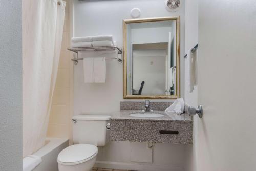 钱伯斯堡Econo Lodge Inn & Suites的一间带卫生间、水槽和镜子的浴室