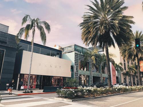 洛杉矶Montrose at Beverly Hills的商店前一条种有棕榈树的街道