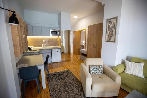 奥赫里德Apartments Kanevce Beach&Relax的带沙发、椅子和厨房的客厅