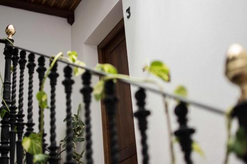 HinojalesCasa Rural Sierra Tórtola 2的门前用植物扶着楼梯