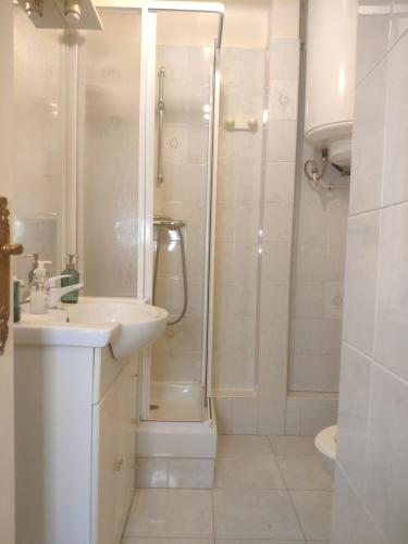 诺瓦西勒塞克Le noisy的带淋浴和盥洗盆的白色浴室
