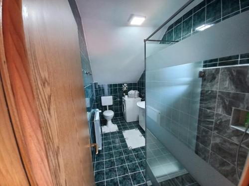 Dubrave GornjeApartmani Denis的一间带卫生间和玻璃淋浴间的浴室