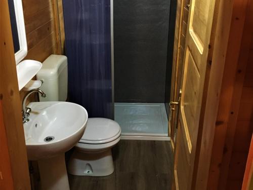 波尔莱扎Italy Lago Di Lugano Porlezza的浴室配有卫生间、盥洗盆和淋浴。