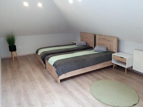 AkmenėKambarių nuoma - Pašakarniai SAURIDA的绿地毯的客房内的两张床