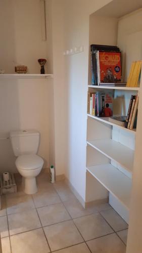 马赛Chambre privée avec Piscine的浴室设有卫生间和书架。