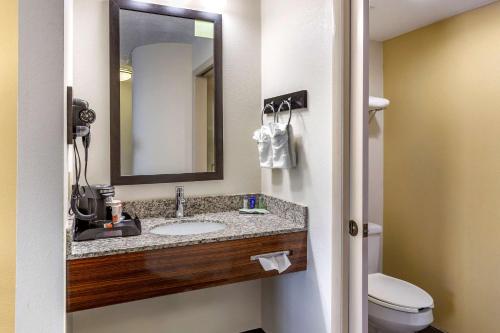 亨德森Sleep Inn Henderson I-85的一间带水槽、镜子和卫生间的浴室