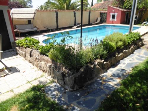 Serranillos PlayaEL RINCON DE LOS PATOS 1的一座种植了植物的游泳池,位于石墙内