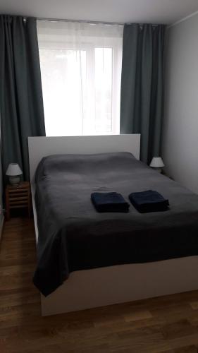 库尔迪加Kurzemītes apartamenti的一间卧室配有一张带2条蓝色毛巾的床