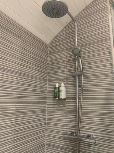 拉辛赫Castledarcy Glamping的浴室内配有淋浴和头顶淋浴