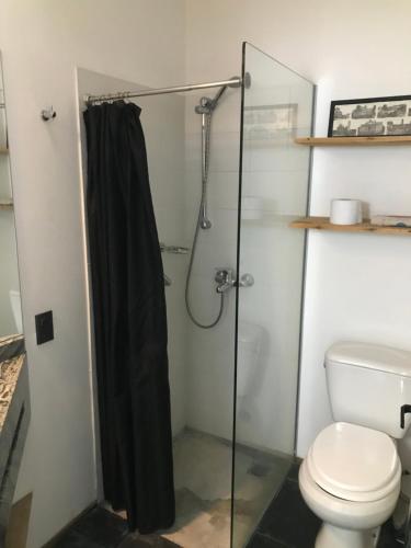 科洛尼亚-德尔萨克拉门托Suite Artigas的带淋浴和卫生间的浴室