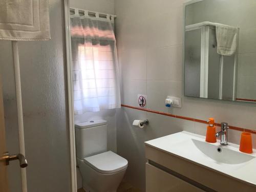 阿赫尔La Caseta del Montsec的一间带卫生间、水槽和镜子的浴室