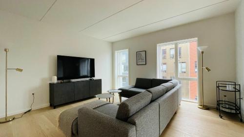 哥本哈根ApartmentInCopenhagen Apartment 1463的带沙发和平面电视的客厅