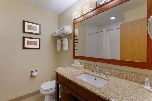 休伦湖河滨康福特茵酒店的一间带水槽、卫生间和镜子的浴室