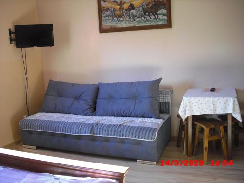 拉德库夫Pokoje Gościnne HANA的一张蓝色的沙发,位于带桌子的房间