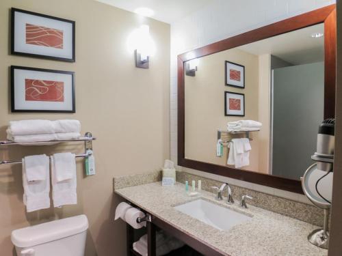玛丽埃塔玛丽埃塔帕克斯堡康福特套房酒店的一间带水槽、卫生间和镜子的浴室