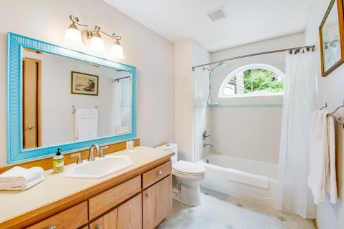 IslandaleSnug Harbor Hideout的一间带水槽、卫生间和镜子的浴室