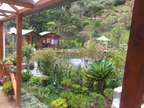 Las Cataratas Lodge外面的花园