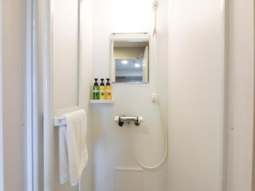 东京The Light Inn Tokyo的设有带镜子和水槽的淋浴的浴室