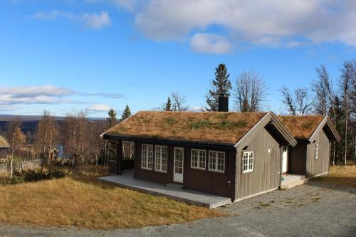 GolsfjelletBergestua - 4 bedroom cabin的草屋顶的小房子