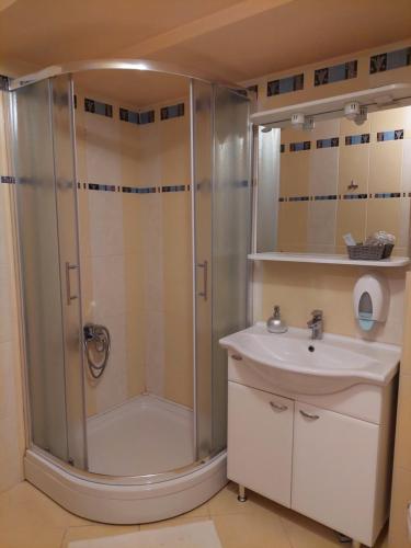 大戈里察Hotel Garny Pleso的带淋浴和盥洗盆的浴室