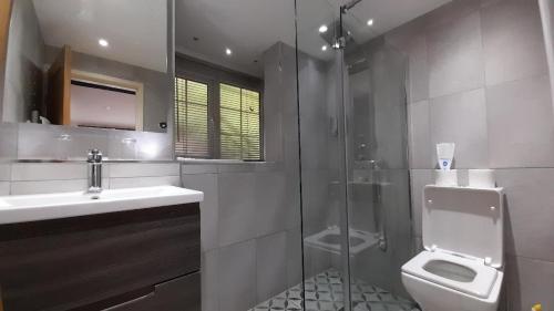贝图瑟科伊德泰·格温酒店的浴室配有卫生间、盥洗盆和淋浴。