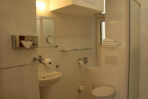 布拉格Unitas Residence的一间带卫生间、水槽和镜子的浴室
