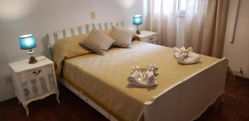 门多萨Departamento céntrico Mendoza的一间卧室配有一张带两盏灯的床。