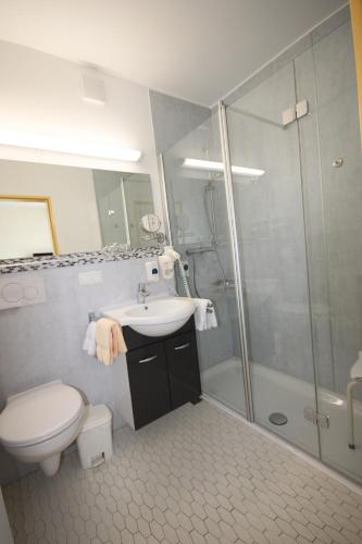 巴特皮尔蒙特巴德皮门特霍夫酒店的浴室配有卫生间、盥洗盆和淋浴。