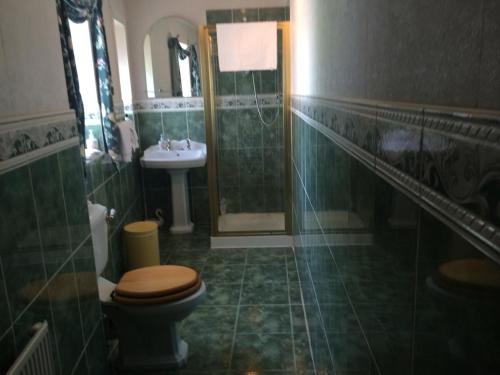 拉格斯布鲁姆旅馆的一间带卫生间和水槽的浴室