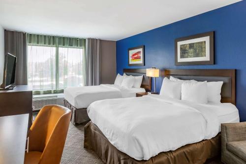 大布兰克Comfort Inn & Suites的酒店客房设有两张床和电视。