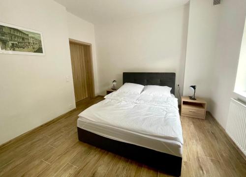 罗兹Apartamenty Sokola的卧室内的一张大床,铺有木地板