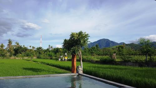 Umma Bali Menjangan Retreat