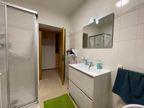 阿科Appartamento Capri的一间带水槽、淋浴和镜子的浴室