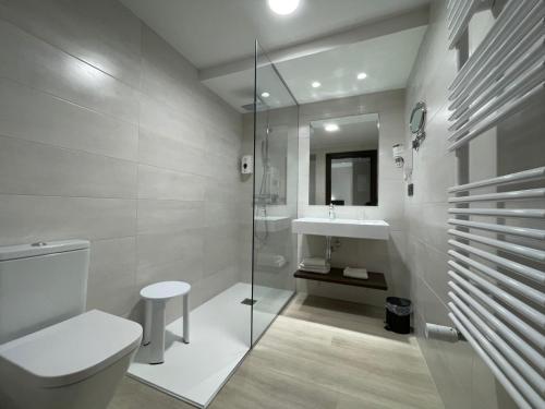 图德拉Hotel Remigio的一间带卫生间和水槽的浴室