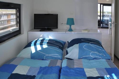 里布尼茨达姆加滕Houseboat Floating House "Luisa", Ribnitz-Damgarten的一间卧室配有两个蓝色枕头和电视