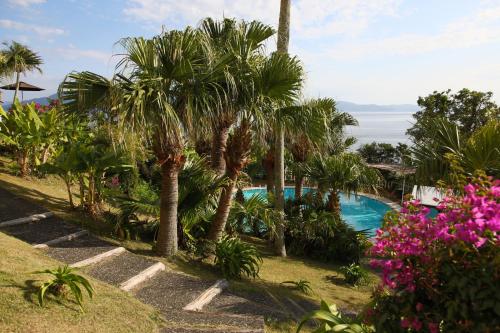 指宿市指宿皇家酒店的一座带游泳池、棕榈树和鲜花的度假村