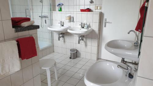 JöhstadtFerienwohnung am Kammweg的相册照片