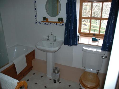 伍勒老磨坊住宿加早餐旅馆的浴室配有盥洗盆、卫生间和浴缸。