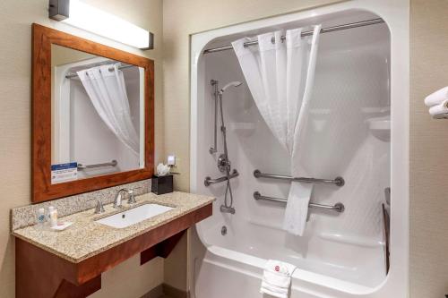 卡本代尔Comfort Inn & Suites Carbondale on the Roaring Fork的带淋浴和盥洗盆的浴室