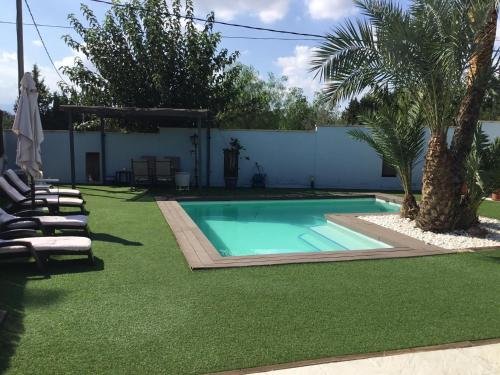 穆尔西亚Relax en la huerta de Murcia的庭院内的游泳池,带椅子和树木