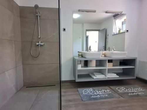 多姆扎莱SPRING APT with garden and FREE secure parking的带淋浴、两个盥洗盆和镜子的浴室