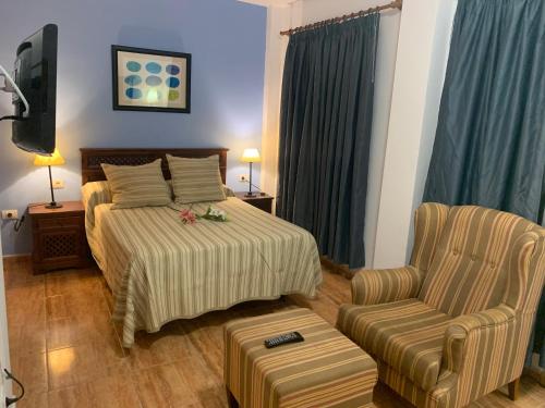 圣地亚哥海滩Apartamento en La Gomera, Playa de Santiago, Alajeró的配有一张床和一把椅子的酒店客房