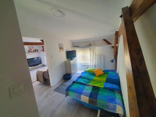 瓦尔米亚地区利兹巴克Kamienica "Pod dębem"的一间卧室配有一张带彩色毯子的床
