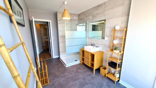 马孔Appartement Mâcon Centre T4 - 100m2的一间带水槽和镜子的浴室