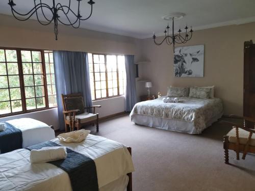 温特顿Drakensberg Bush Lodge and Backpackers的一间卧室配有两张床和吊灯。
